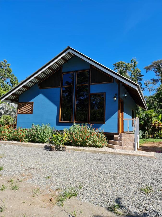 Casa Numu Villa Cahuita Exteriör bild
